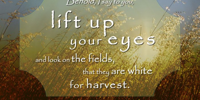 1600x1200 Christian Computer Wallpaper – Desktop Wallpapers » The Fields Are