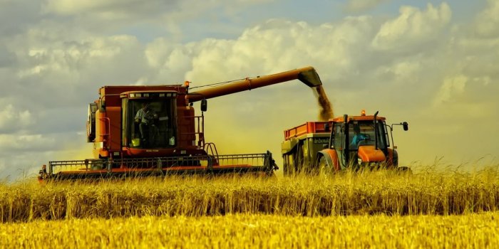 1280x1024 1280x1024 Harvest desktop PC and Mac wallpaper