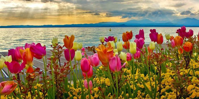 1920x1182 SprinGTIme Desktop Background ·① WallpaperTag