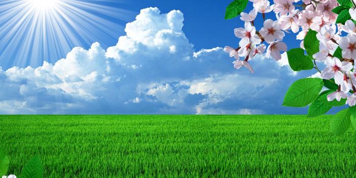 1920x1440 55+ Spring Desktop Wallpaper Screensaver