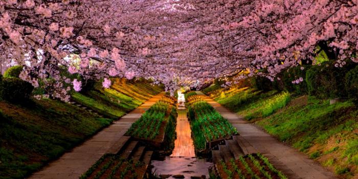 1504x855 Desktop Background Springtime | HD Wallpapers