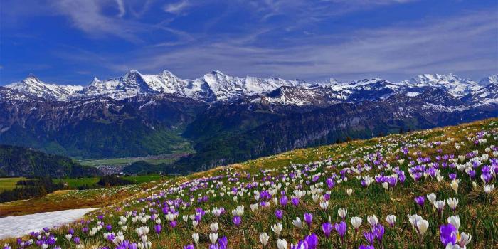 1920x1080 Spring Desktop Wallpaper Hd > - Spring Mountain Wallpaper Hd