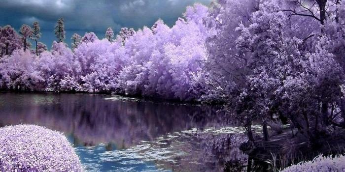 1024x768 Widescreen Spring Hd Wallpapers Hd Wallpapers Desktop Background