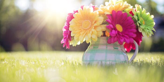 2880x1800 76+ Spring Desktop Wallpapers on WallpaperPlay