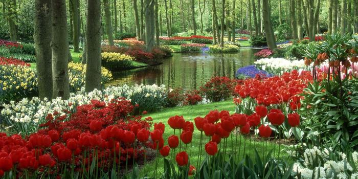 1920x1080 Free download 83 Springtime Desktop Wallpapers on WallpaperPlay