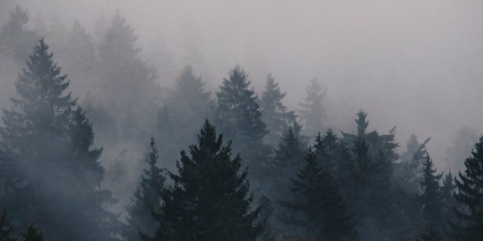 1600x500 all black aesthetic | A collection of black photos ready to fit an