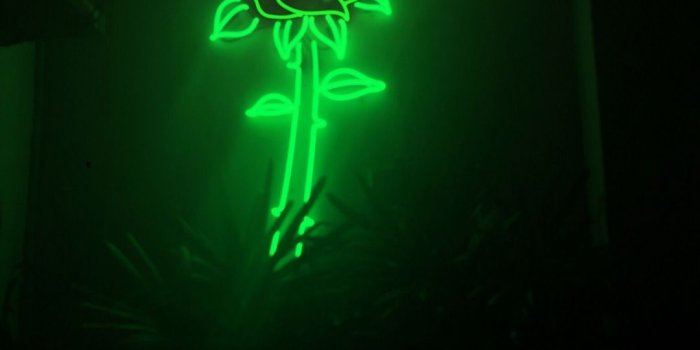 1080x1440 ✅[15+] Green and Black Aesthetic - Android, iPhone, Desktop HD