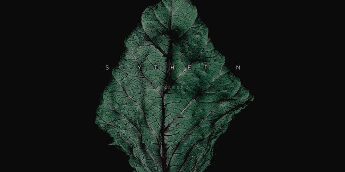 1000x1778 Wallpapers No. 419 - Hogwarts Houses + Dark Dead Botanicals