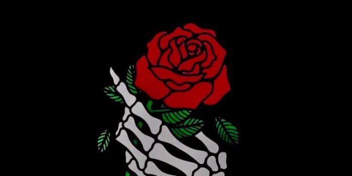 750x1334 Rose Dark Aesthetic Wallpapers