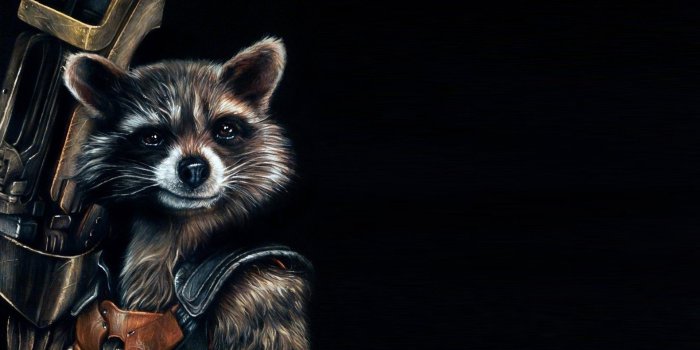1920x1080 Raccoon Wallpaper ·① WallpaperTag