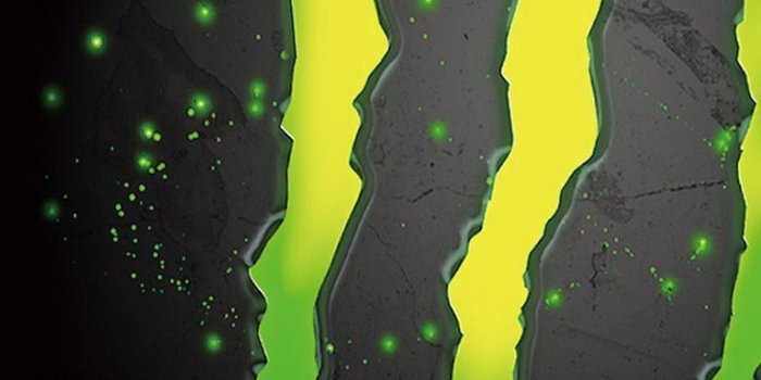 768x1024 Monster Energy iPhone Wallpapers - Top Free Monster Energy iPhone