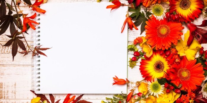 1332x850 Wallpaper flowers, flowers, floral, leaves, autumn, composition