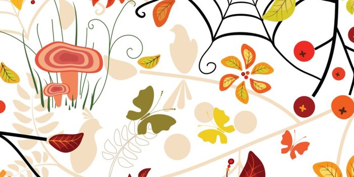 1080x1920 Autumn Floral iPhone Wallpaper HD
