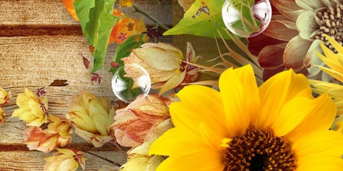 1280x1024 Free download 45 Fall Floral Desktop Wallpapers Download at