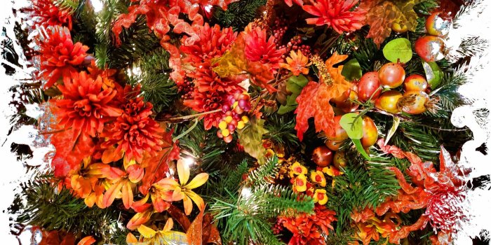 1920x1440 Autumn Floral Background Free Stock Photo - Public Domain Pictures