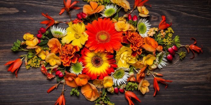 1332x850 Wallpaper flowers, flowers, floral, leaves, autumn, composition
