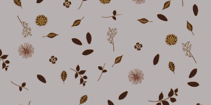 1920x1920 Autumn Floral Background Free Stock Photo - Public Domain Pictures