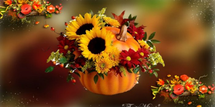 1920x1080 Fall Flowers Wallpaper (49+ images)