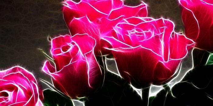1680x1050 Glowing Pink Rose Abstract HD Wallpaper | Pink flowers wallpaper