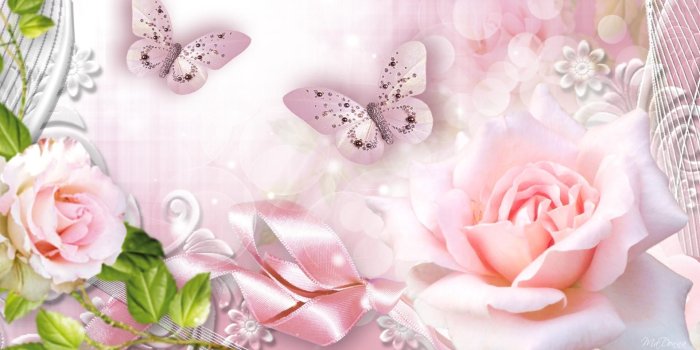 1920x1080 HD Roses Pink Glow Wallpaper | Cover wallpaper, Butterfly background