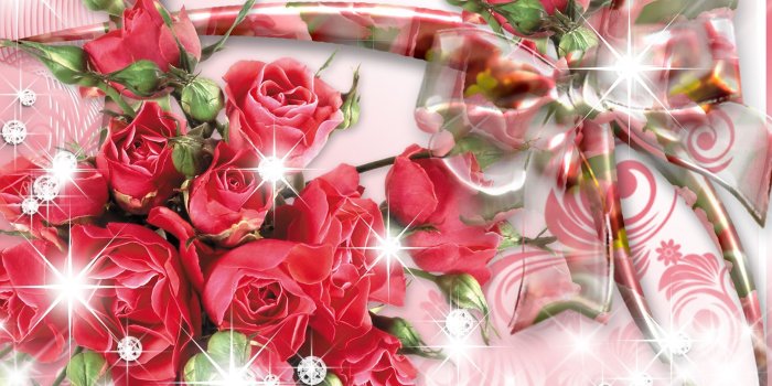2560x1600 Bouquet Of Red Roses 99763 : Wallpapers13.com