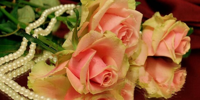 1440x1280 Pink Roses wallpaper by FawadKhaan - 39 - Free on ZEDGE™