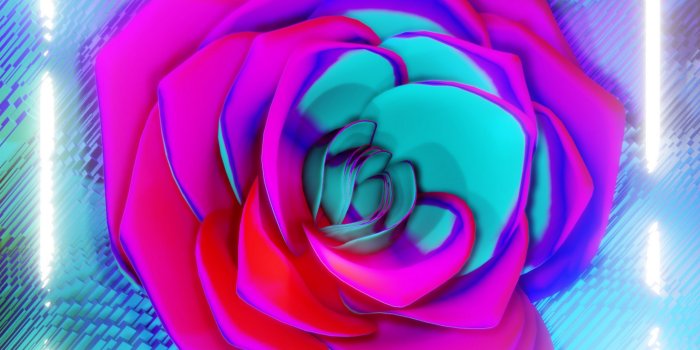 2560x1600 Download wallpaper 2560x1600 flower, neon, frame, glow, bright
