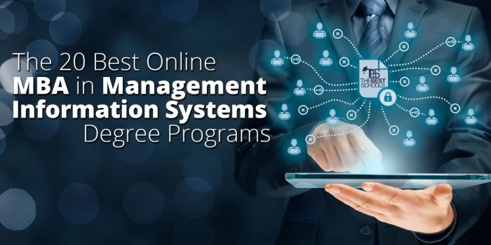 2048x1152 Mba Management Information Systems - Business Information
