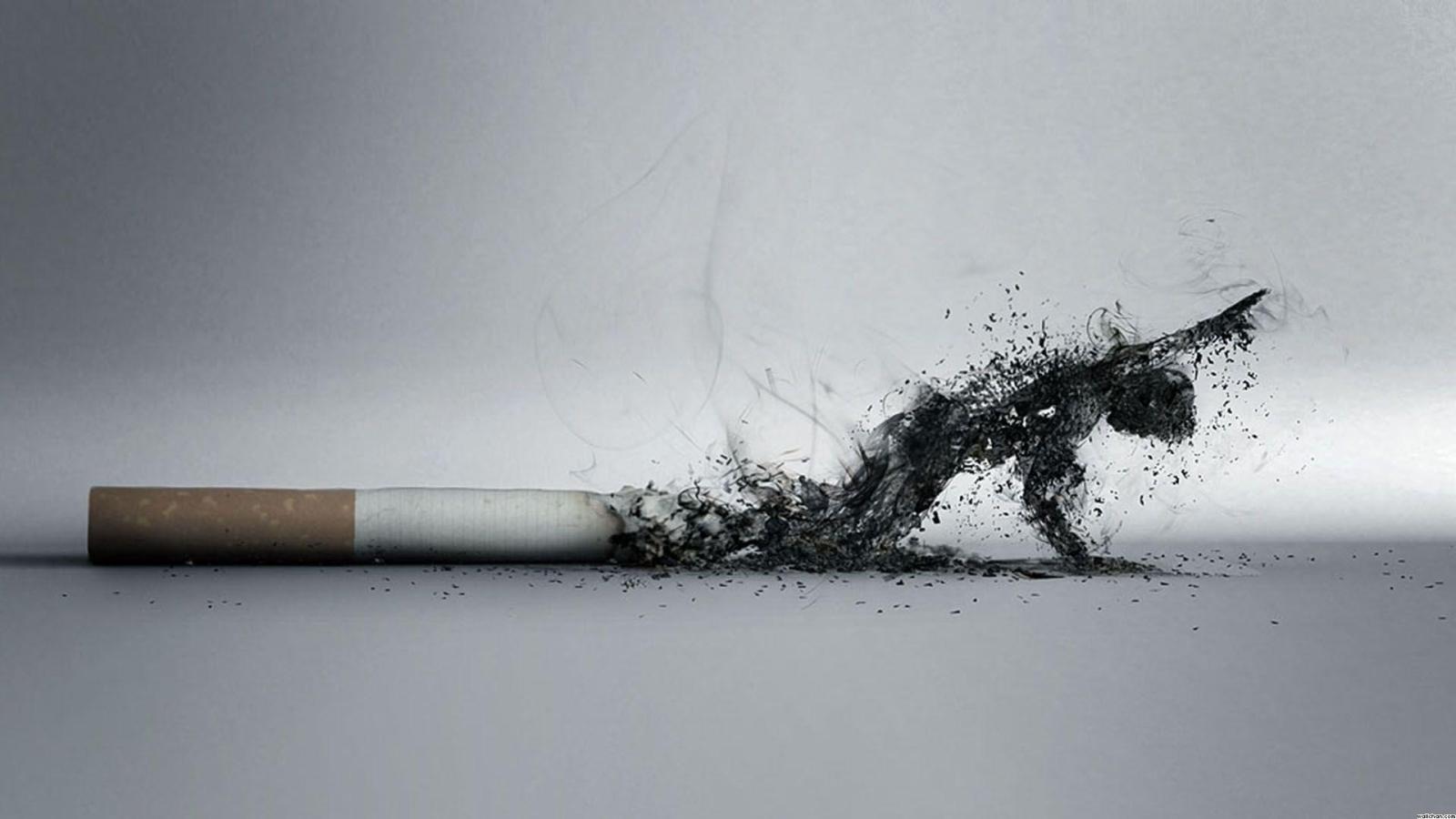 1920x1080 Cigarette Smoke Wallpapers - Top Free Cigarette Smoke Backgrounds