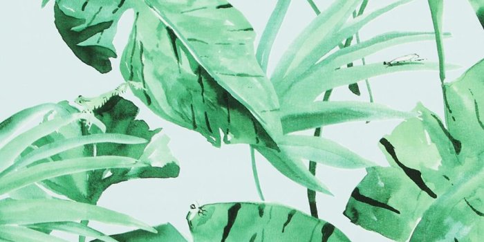 1000x1000 Tropical Natural Green And Baby Blue Leaves Wallpaper - Green
