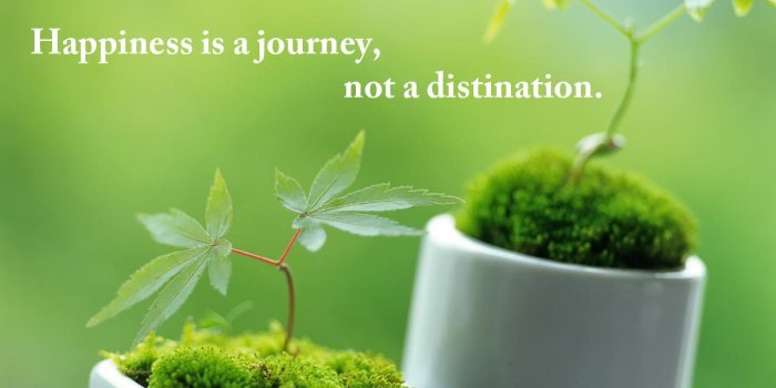 1280x827 24+] Happy Quotes Wallpapers on WallpaperSafari