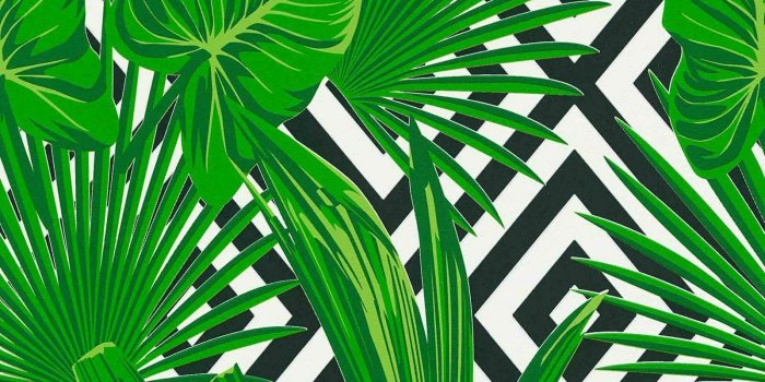 1600x1440 Tropical Leaf Wallpaper Leaves Diamond Geometric Green Black White