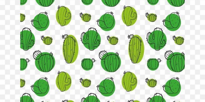 820x1170 Cactaceae Green Wallpaper, PNG, 658x1170px, Cactaceae, Grass