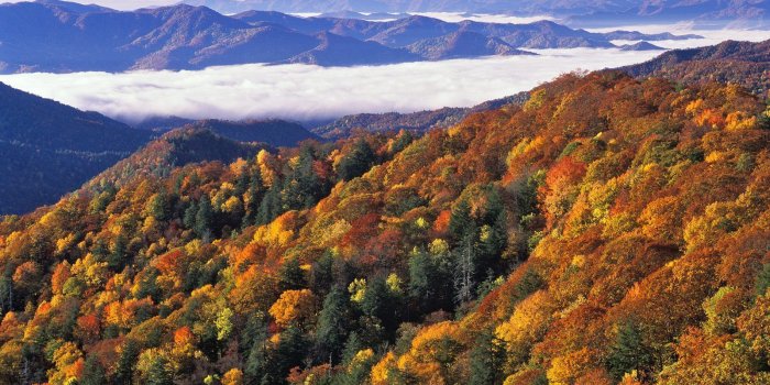 1600x1200 Great Smoky Mountains Wallpapers - Top Free Great Smoky Mountains