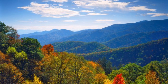 2560x1440 46+] Free Smoky Mountain Wallpaper on WallpaperSafari