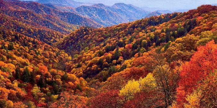 1024x768 When is the Best Time to See Smoky Mountain Fall Colors? | Smoky