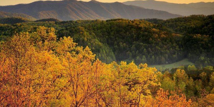 1920x1080 Great Smoky Mountains Wallpapers - Top Free Great Smoky Mountains
