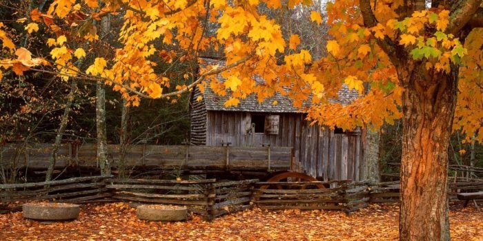 1280x1024 Autumn in Great Smoky Mountains. | Autumn scenery, Fall wallpaper