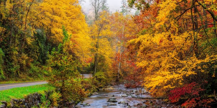 2048x1365 Photos USA Great Smoky Mountains Nature Stream Autumn Parks Forests