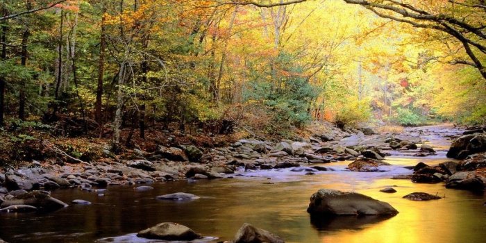1024x768 Golden Waters - Autumn in the Smokies, Great Smoky Mt… | Great