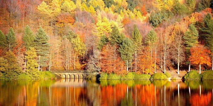 2560x1600 1A3V393 Smoky Mountain Fall Wallpaper 2560x1600 px - Picserio.com