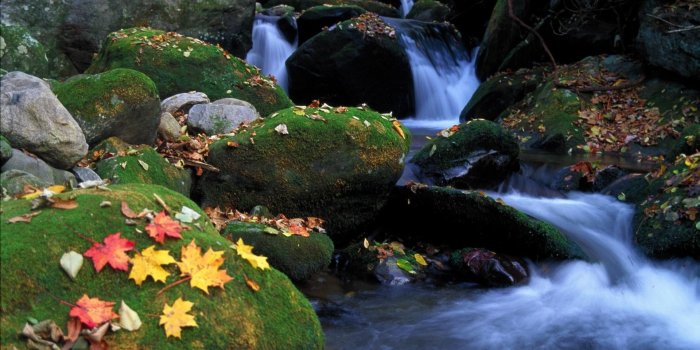 1920x1080 landscapes autumn season leaves tennessee national park great