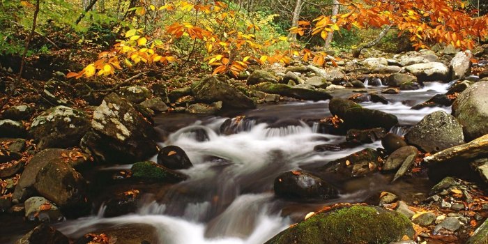 1920x1080 autumn season tennessee lakes great smoky mountains creek