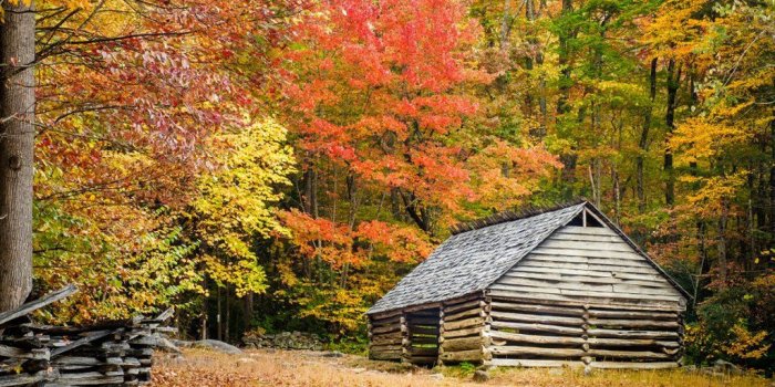 1024x768 Fall Foliage, Great Smoky Mountain National Park, Tennessee (With