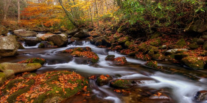 2560x1600 Great Smoky Mountains National Park Is Americas Oconaluftee River