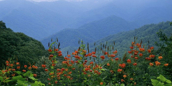 1600x900 Great Smoky Mountains National Park Wallpapers