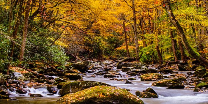 1920x2560 Smoky Mountain Winter Scenes Wallpaper (42+ images)