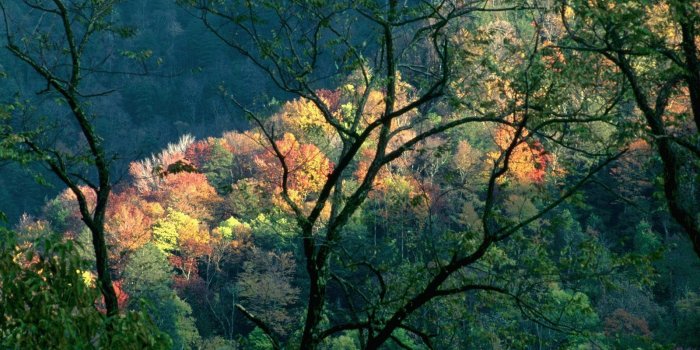 1600x1200 Nature: Autumn Light, Great Smoky Mountains, Tennessee, picture nr