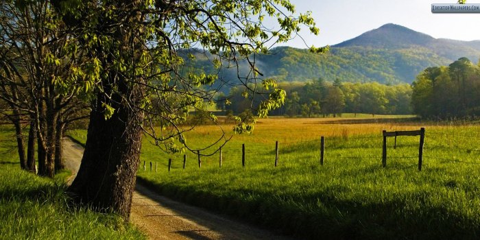 1920x1080 45+] Smoky Mountains Spring Wallpaper on WallpaperSafari