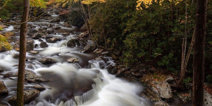 1332x850 Wallpaper autumn, forest, trees, stream, stones, USA, Great Smoky